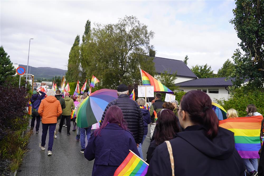 Stjørdal Pride toget på vei opp gata, det flagges og smiles. - Klikk for stort bilde