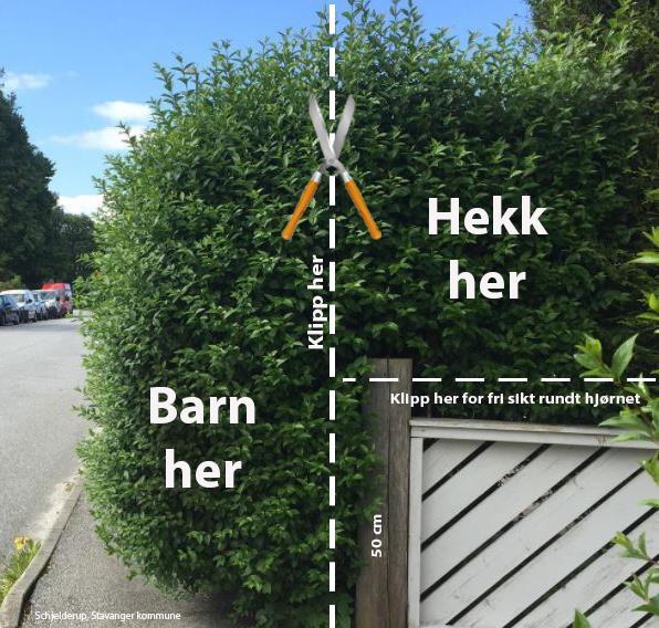 Hekker, busker og trær ved veg og fortau - Stjørdal kommune