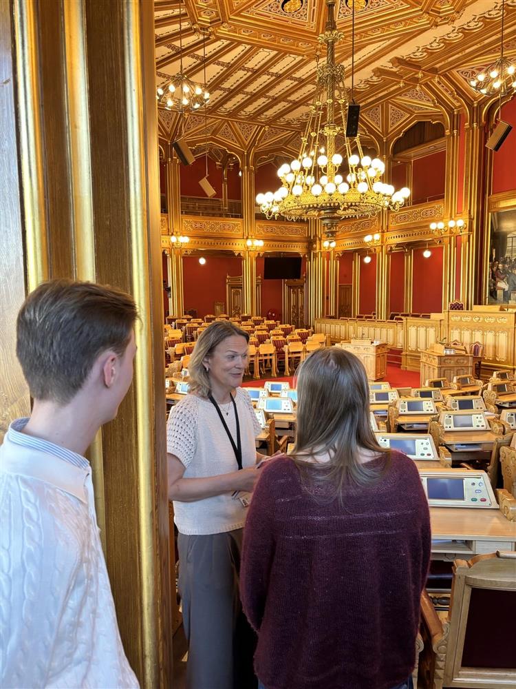 To fra ungdomsrådet som prater med Bente Estil i stortingssalen - Klikk for stort bilde