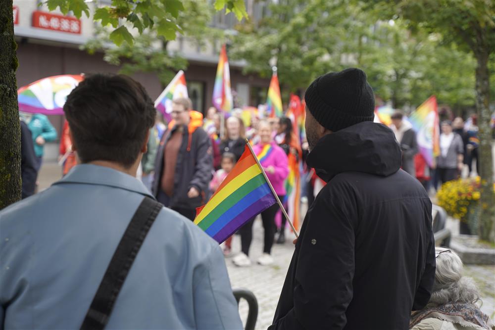 Mange mennesker som går i tog med regnbueflagg, det står også folk å ser på som flagger. De er på vei opp gata i sentrum av Stjørdal. - Klikk for stort bilde